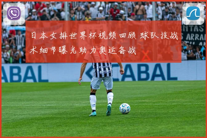 日本女排世界杯视频回顾 球队技战术细节曝光助力奥运备战