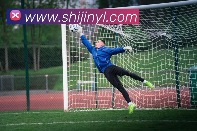 开云kaiyun网页版平台生态图